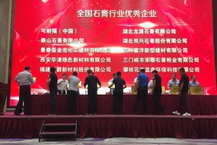 甘肅景泰金龍化工建材有限公司榮獲2016-2017年度全國石膏行業優秀企業