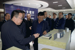 市人大領(lǐng)導(dǎo)一行蒞臨我公司調(diào)研指導(dǎo)